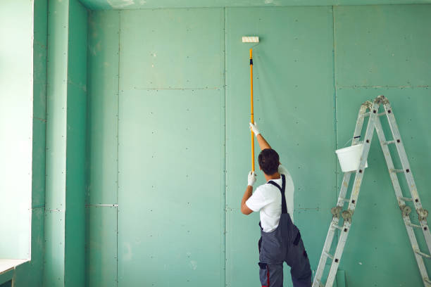 Best Mold Remediation for Healthcare Facilities  in Rifle, CO