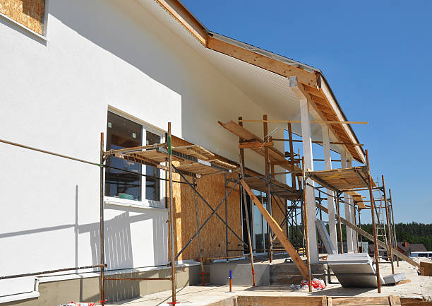 Best Industrial Mold Remediation  in Rifle, CO