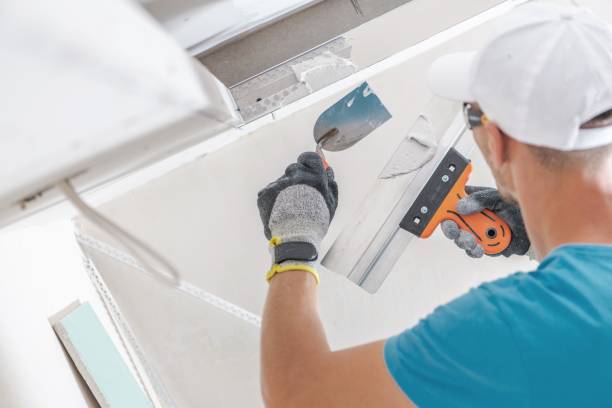 Best Commercial Mold Inspection  in Rifle, CO